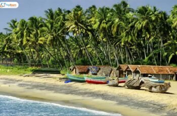 Exploring the Best Beaches in Goa: A Tourist’s Handbook